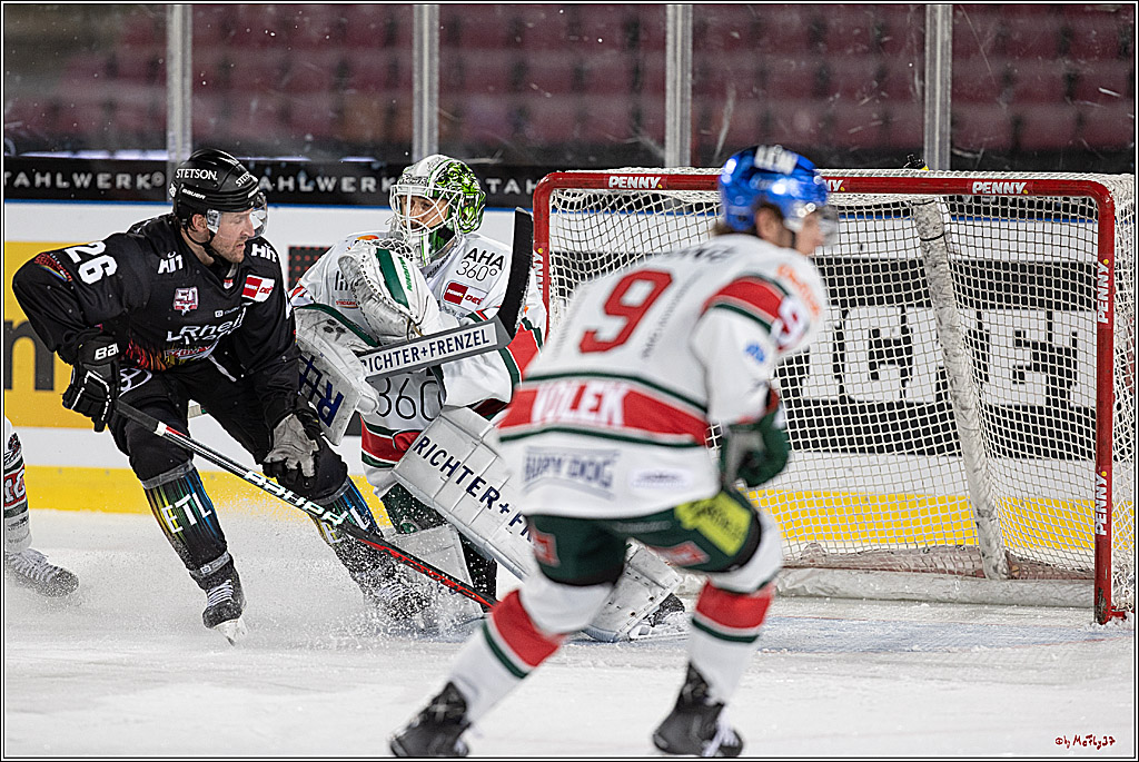 PENNY DEL;  Koelner Haie - Augsburger Panther; Koeln, 08.01.2023